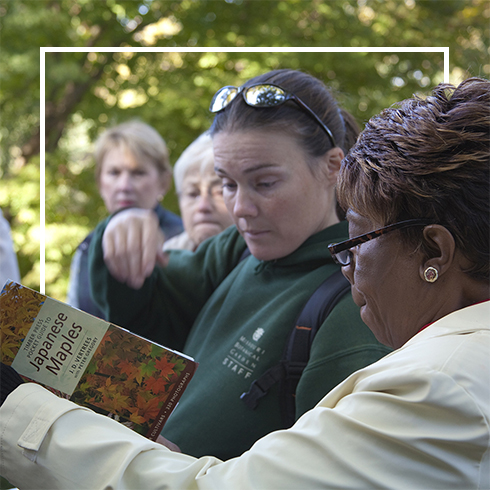 Japanese Maples class instructor with participant